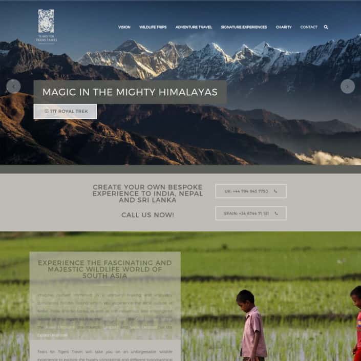 Web design Nederland